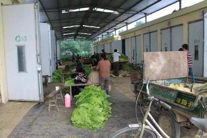 烤烟装炉技术