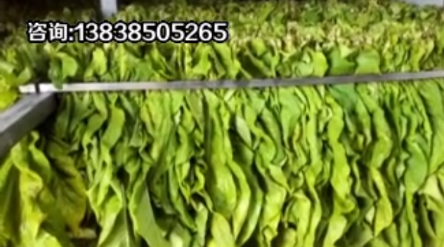 烤烟种植技术科学装烟技术