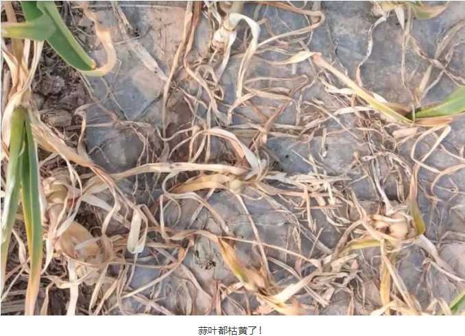 搜狗截图19年11月24日1811_4.jpg