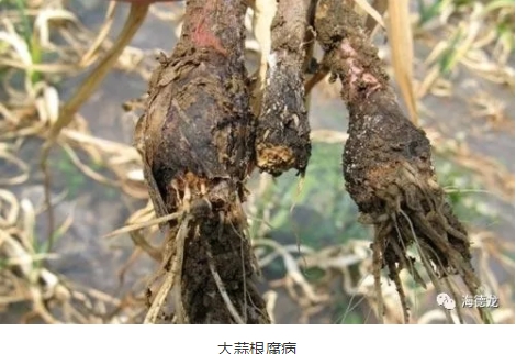 搜狗截图19年11月24日1811_5.jpg