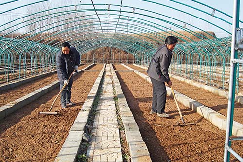 育苗池增温保温的3个措施