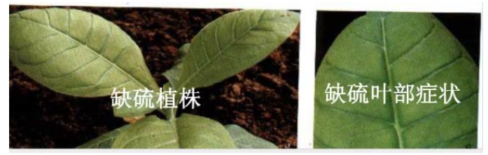 搜狗截图20年01月28日2127_9.jpg