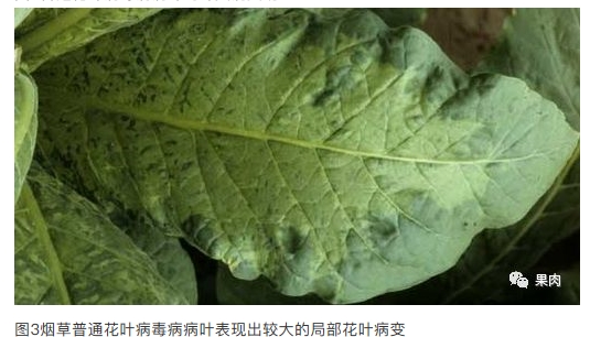 搜狗截图20年02月01日1712_2.jpg