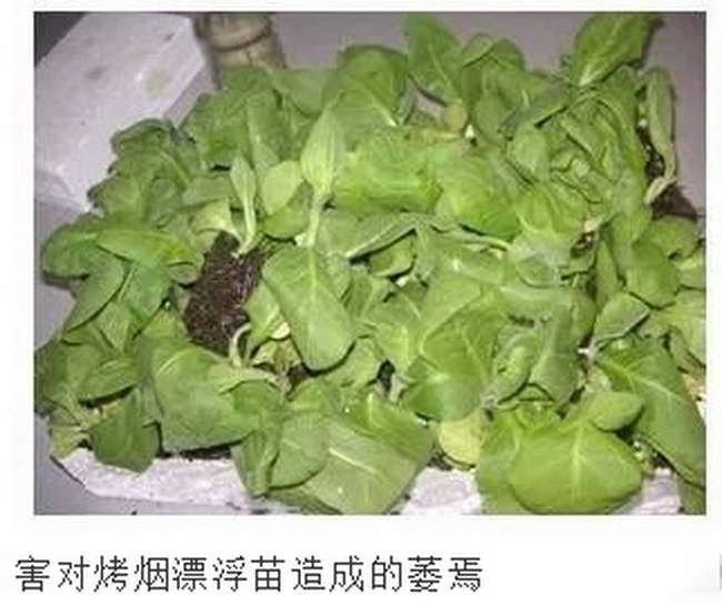 丰农科技3.jpg